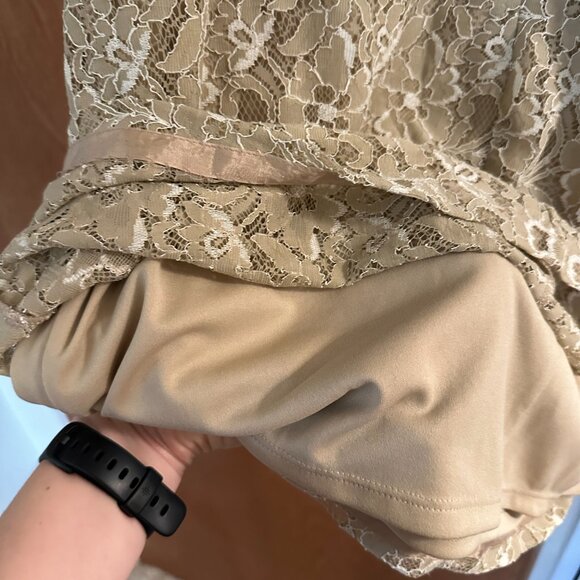 Max and Cleo lace beige dress, size 12, Nwt - Picture 5 of 6